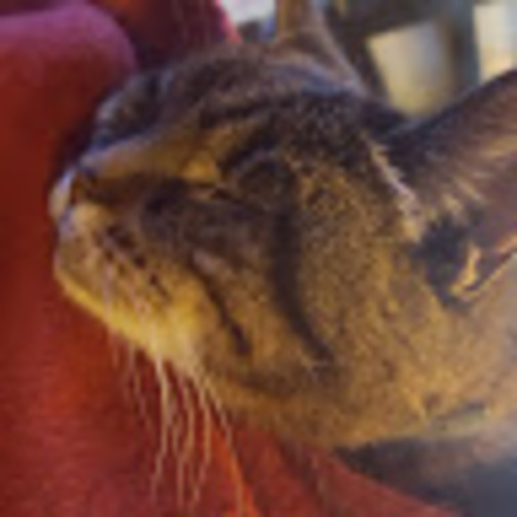 Meet your Posher, Margaret - Picture 1 of 1